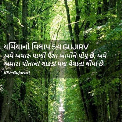 Picture 02 - યર્મિયાનો વિલાપ 5:4 GUJIRV - અમે અમારું પાણી - Bible Verse Picture