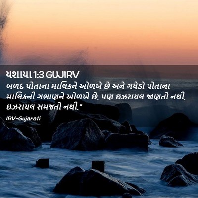 Picture 02 - યશાયા 1:3 GUJIRV - બળદ પોતાના - Bible Verse Picture
