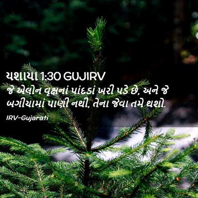 Picture 02 - યશાયા 1:30 GUJIRV - જે એલોન વૃક્ષનાં - Bible Verse Picture