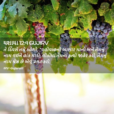 Picture 02 - યશાયા 12:4 GUJIRV - તે દિવસે તમે કહેશો, - Bible Verse Picture