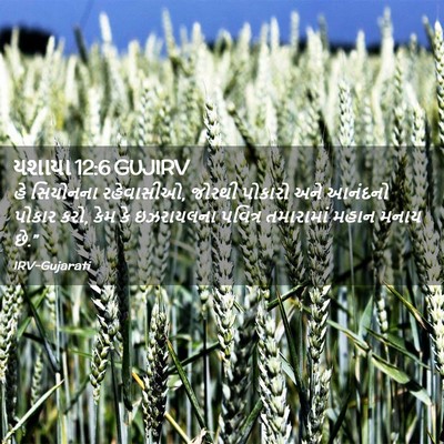 Picture 02 - યશાયા 12:6 GUJIRV - હે સિયોનના - Bible Verse Picture