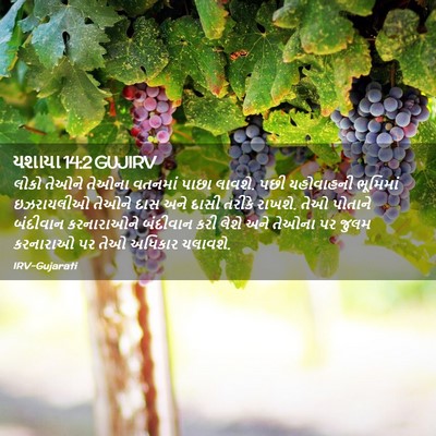 Picture 02 - યશાયા 14:2 GUJIRV - લોકો તેઓને તેઓના - Bible Verse Picture