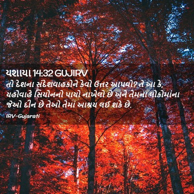 Picture 02 - યશાયા 14:32 GUJIRV - તો દેશના - Bible Verse Picture