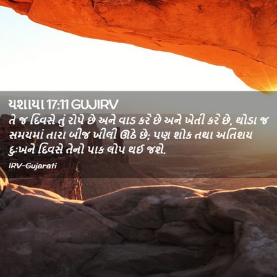 Picture 02 - યશાયા 17:11 GUJIRV - તે જ દિવસે તું રોપે - Bible Verse Picture