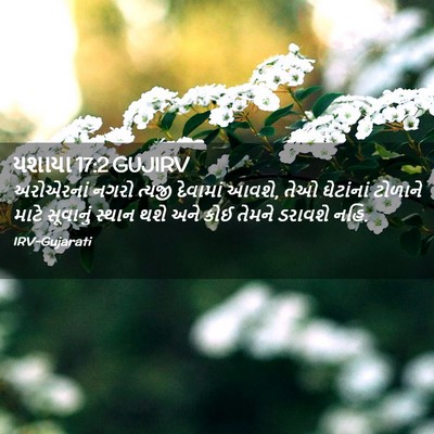 Picture 02 - યશાયા 17:2 GUJIRV - અરોએરનાં નગરો - Bible Verse Picture