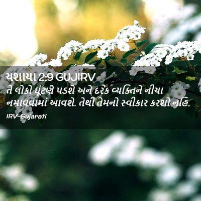 Picture 02 - યશાયા 2:9 GUJIRV - તે લોકો ઘૂંટણે - Bible Verse Picture