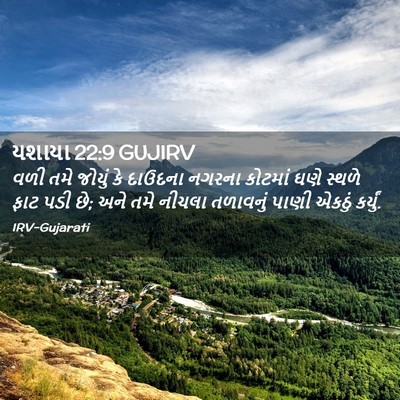 Picture 02 - યશાયા 22:9 GUJIRV - વળી તમે જોયું કે - Bible Verse Picture
