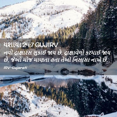 Picture 02 - યશાયા 24:7 GUJIRV - નવો દ્રાક્ષારસ - Bible Verse Picture