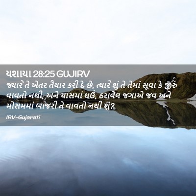 Picture 02 - યશાયા 28:25 GUJIRV - જ્યારે તે ખેતર - Bible Verse Picture