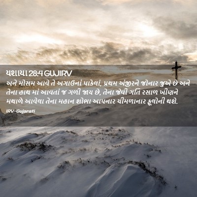 Picture 02 - યશાયા 28:4 GUJIRV - અને મોસમ આવે તે - Bible Verse Picture