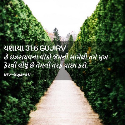 Picture 02 - યશાયા 31:6 GUJIRV - હે ઇઝરાયલના લોકો - Bible Verse Picture