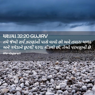 Picture 02 - યશાયા 32:20 GUJIRV - તમે જેઓ સર્વ - Bible Verse Picture