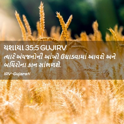 Picture 02 - યશાયા 35:5 GUJIRV - ત્યારે અંધજનોની - Bible Verse Picture