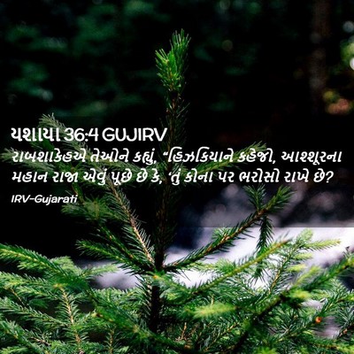 Picture 02 - યશાયા 36:4 GUJIRV - રાબશાકેહએ તેઓને - Bible Verse Picture