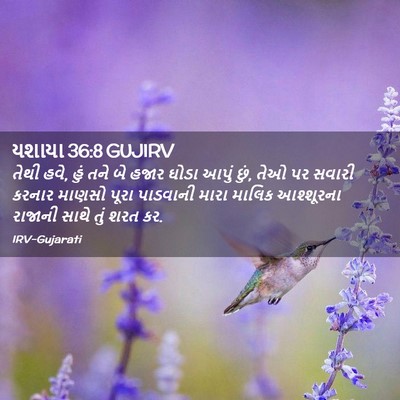 Picture 02 - યશાયા 36:8 GUJIRV - તેથી હવે, હું તને - Bible Verse Picture