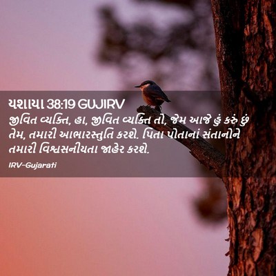 Picture 02 - યશાયા 38:19 GUJIRV - જીવિત વ્યક્તિ, હા, - Bible Verse Picture