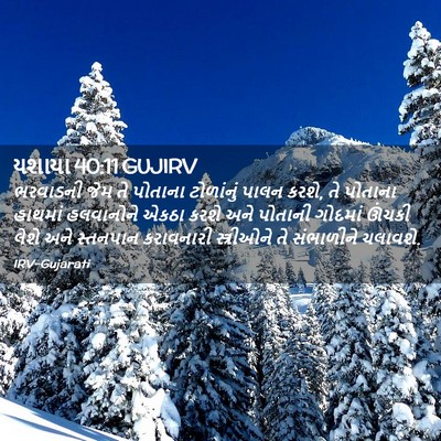 Picture 02 - યશાયા 40:11 GUJIRV - ભરવાડની જેમ તે - Bible Verse Picture