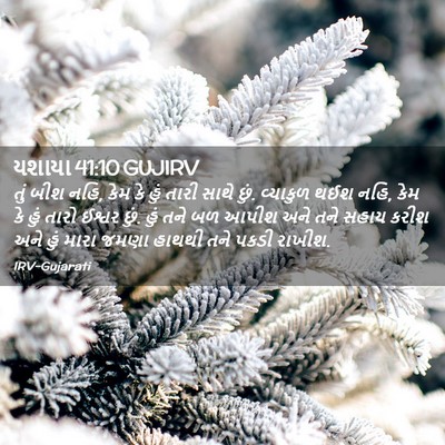 Picture 02 - યશાયા 41:10 GUJIRV - તું બીશ નહિ, કેમ કે - Bible Verse Picture