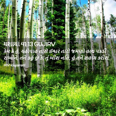 Picture 02 - યશાયા 41:13 GUJIRV - કેમ કે હું, યહોવાહ - Bible Verse Picture
