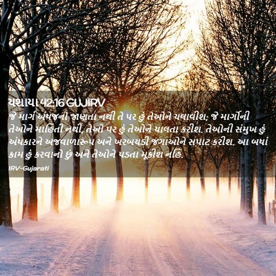 Picture 02 - યશાયા 42:16 GUJIRV - જે માર્ગ અંધજનો - Bible Verse Picture