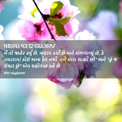 Picture 02 - યશાયા 43:12 GUJIRV - મેં તો જાહેર - Bible Verse Picture