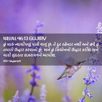 Picture 02 - યશાયા 46:13 GUJIRV - હું મારું - Bible Verse Picture