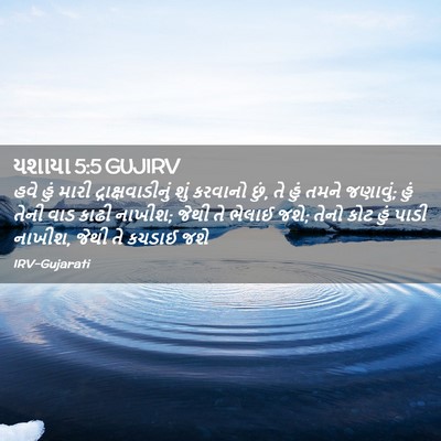 Picture 02 - યશાયા 5:5 GUJIRV - હવે હું મારી - Bible Verse Picture