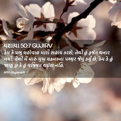 Picture 02 - યશાયા 50:7 GUJIRV - કેમ કે પ્રભુ - Bible Verse Picture