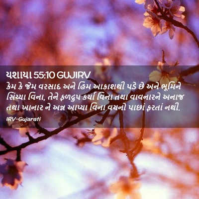Picture 02 - યશાયા 55:10 GUJIRV - કેમ કે જેમ વરસાદ - Bible Verse Picture