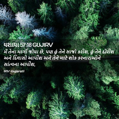Picture 02 - યશાયા 57:18 GUJIRV - મેં તેના માર્ગો - Bible Verse Picture