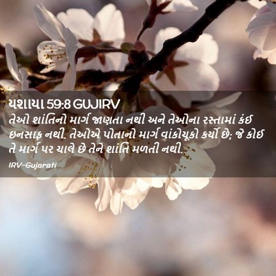 Picture 02 - યશાયા 59:8 GUJIRV - તેઓ શાંતિનો માર્ગ - Bible Verse Picture