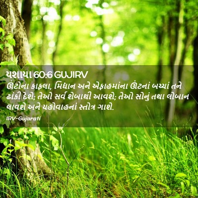 Picture 02 - યશાયા 60:6 GUJIRV - ઊંટોના કાફલા, - Bible Verse Picture