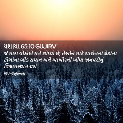 Picture 02 - યશાયા 65:10 GUJIRV - જે મારા લોકોએ મને - Bible Verse Picture