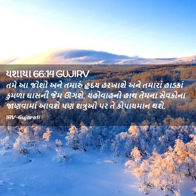 Picture 02 - યશાયા 66:14 GUJIRV - તમે આ જોશો અને - Bible Verse Picture