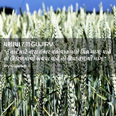Picture 02 - યશાયા 7:11 GUJIRV - “તું તારે માટે - Bible Verse Picture