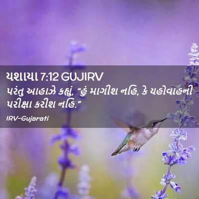 Picture 02 - યશાયા 7:12 GUJIRV - પરંતુ આહાઝે - Bible Verse Picture