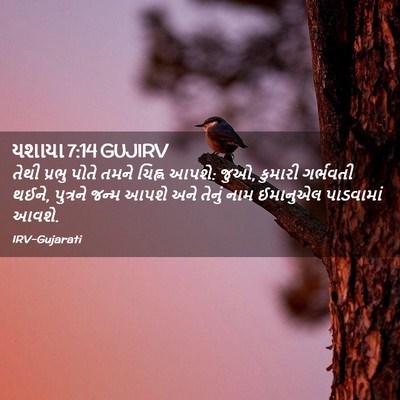 Picture 02 - યશાયા 7:14 GUJIRV - તેથી પ્રભુ પોતે - Bible Verse Picture