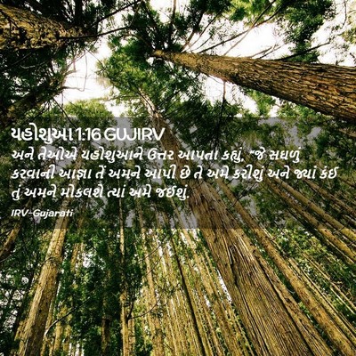Picture 02 - યહોશુઆ 1:16 GUJIRV - અને તેઓએ યહોશુઆને - Bible Verse Picture