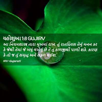 Picture 02 - યહોશુઆ 1:8 GUJIRV - આ નિયમશાસ્ત્ર - Bible Verse Picture