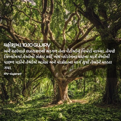 Picture 02 - યહોશુઆ 10:10 GUJIRV - અને યહોવાહે - Bible Verse Picture