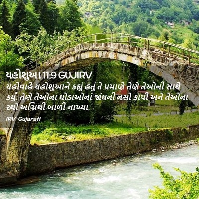 Picture 02 - યહોશુઆ 11:9 GUJIRV - યહોવાહે યહોશુઆને - Bible Verse Picture