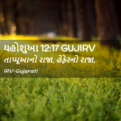 Picture 02 - યહોશુઆ 12:17 GUJIRV - તાપ્પૂઆનો રાજા, - Bible Verse Picture