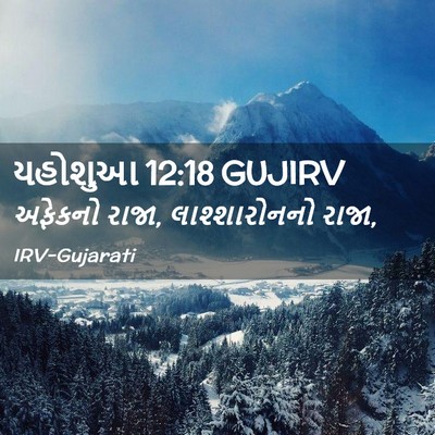 Picture 02 - યહોશુઆ 12:18 GUJIRV - અફેકનો રાજા, - Bible Verse Picture