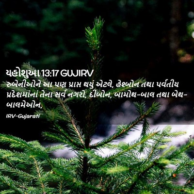 Picture 02 - યહોશુઆ 13:17 GUJIRV - રુબેનીઓને આ પણ - Bible Verse Picture