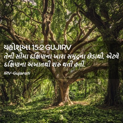 Picture 02 - યહોશુઆ 15:2 GUJIRV - તેની સીમા - Bible Verse Picture