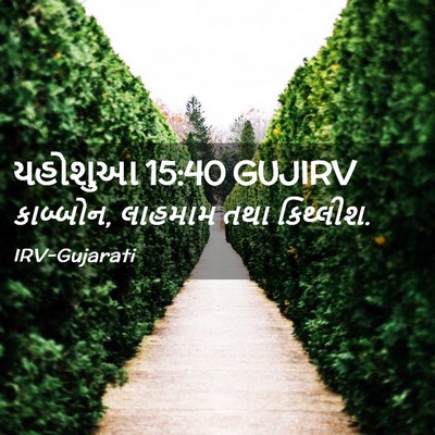 Picture 02 - યહોશુઆ 15:40 GUJIRV - કાબ્બોન, લાહમામ - Bible Verse Picture