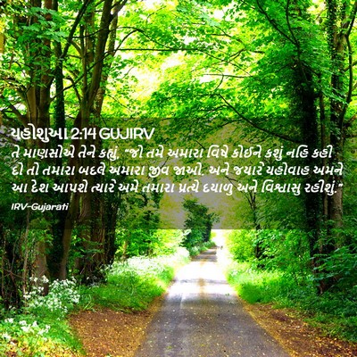 Picture 02 - યહોશુઆ 2:14 GUJIRV - તે માણસોએ તેને - Bible Verse Picture