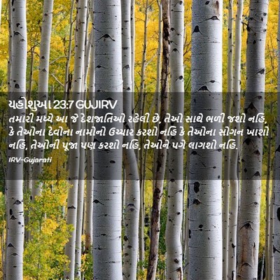 Picture 02 - યહોશુઆ 23:7 GUJIRV - તમારી મધ્યે આ જે - Bible Verse Picture