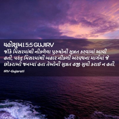 Picture 02 - યહોશુઆ 5:5 GUJIRV - જોકે મિસરમાંથી - Bible Verse Picture