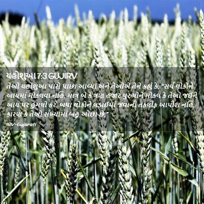 Picture 02 - યહોશુઆ 7:3 GUJIRV - તેઓ યહોશુઆ પાસે - Bible Verse Picture
